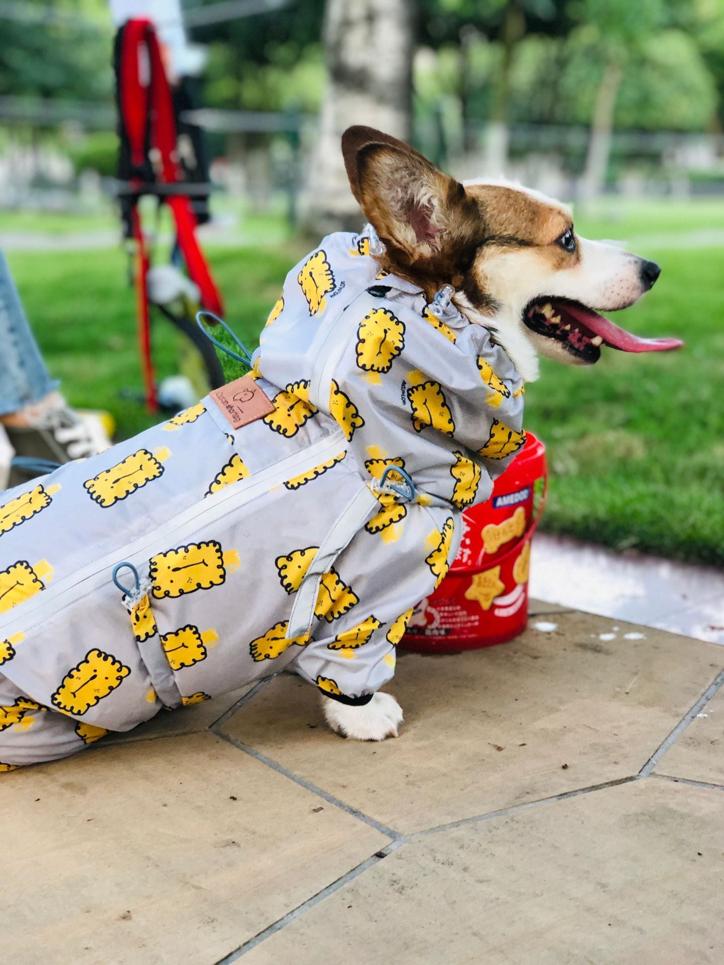 Chubasquero impermeable de pierna corta Captain Golden Retriever Corgi, ropa para perros de cuatro patas