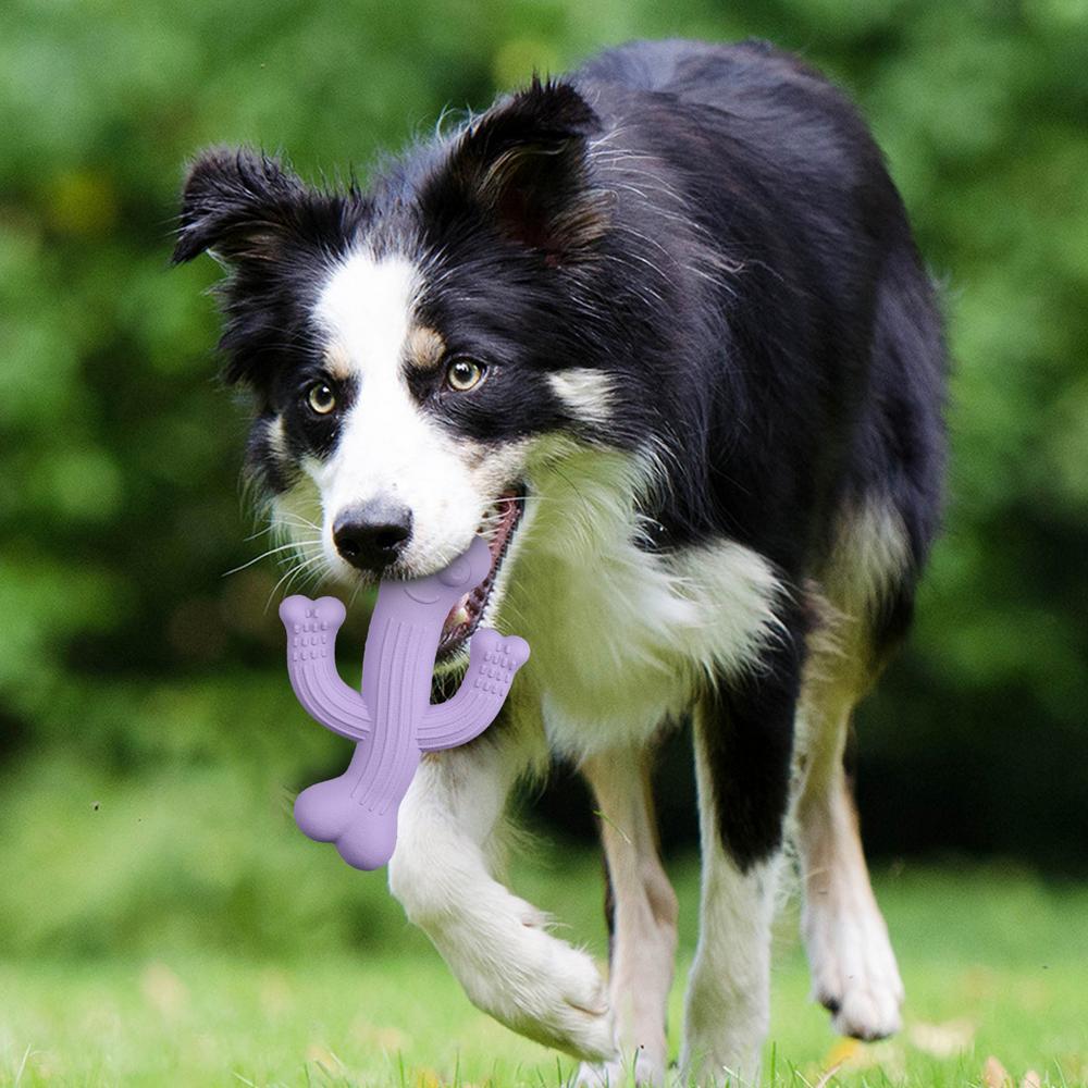 Jouet à mâcher pour chiot en forme de cactus Jouet à mâcher pour chien en forme de cactus Jouet pour chien ultra résistant Jouets interactifs pour chien contre l'ennui Jouets pour chien presque indestructibles