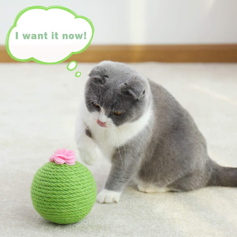 Boule à gratter interactive en forme de cactus pour chat, jouet à l'herbe à chat, grattoir en sisal naturel, tour d'arbre pour chat, jeu d'intérieur, chasse, exercice 