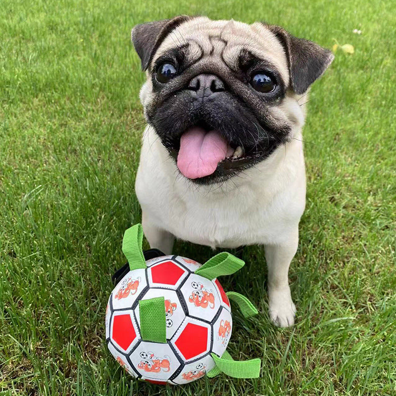 Juguete molar resistente a las mordeduras de fútbol para perros