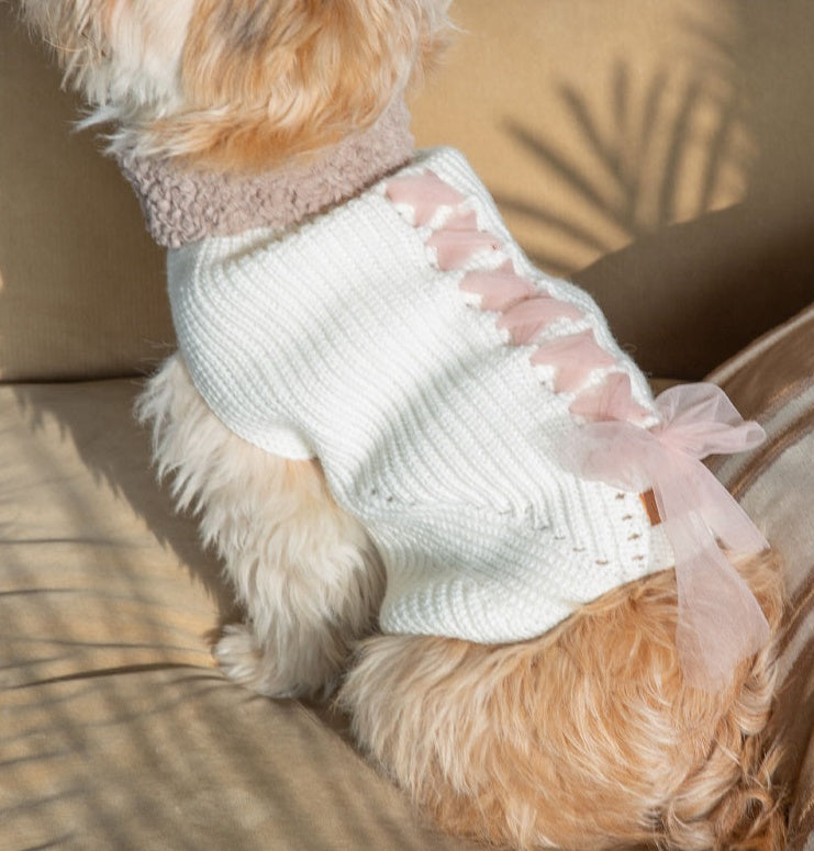 Warm autumn and winter bowknot dog cat clothes