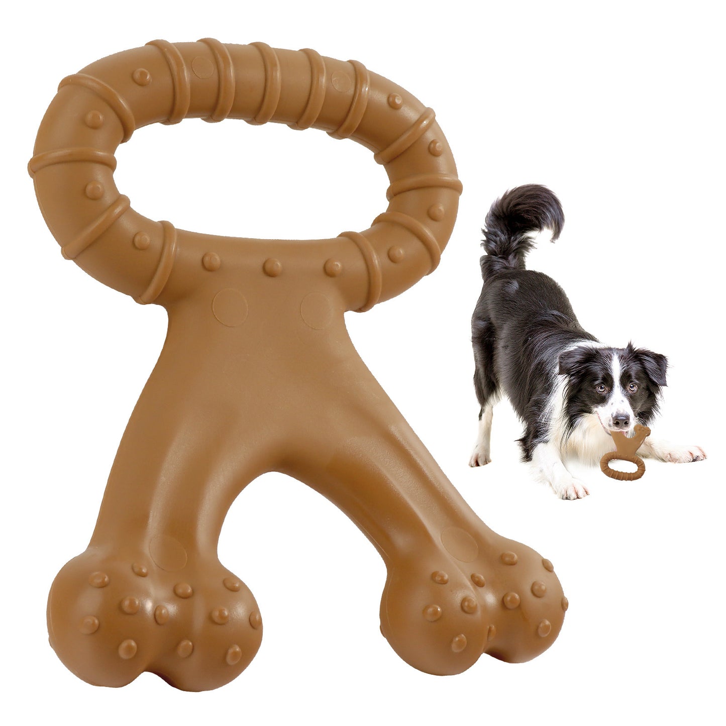 Molar de juguete interactivo para masticar para perros