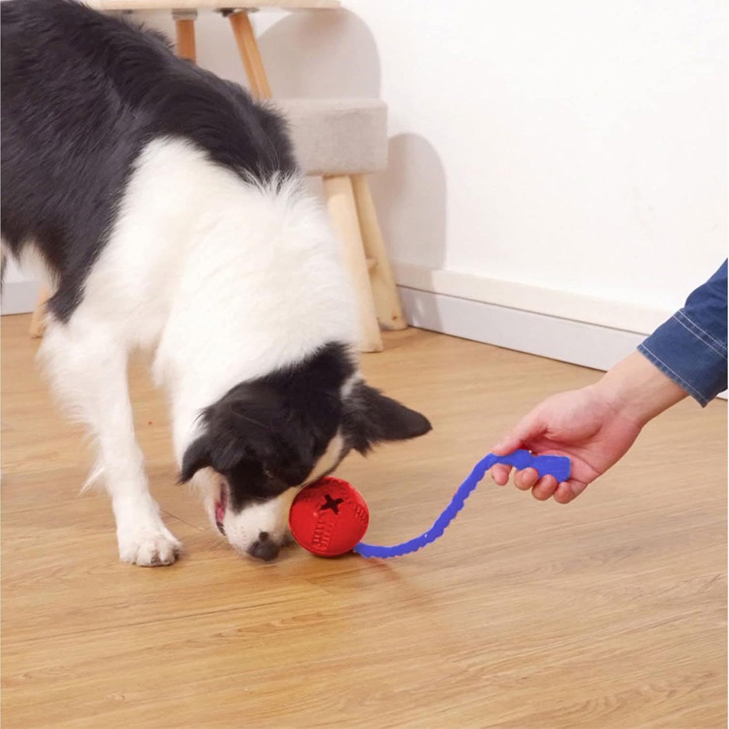 Jouets interactifs pour chiens, cage de dressage pour chiots, distributeur de puzzle avec corde, réduit le stress et l'anxiété, distributeur de nourriture pour chiens, jouets durables pour chiens pour mâcheurs agressifs