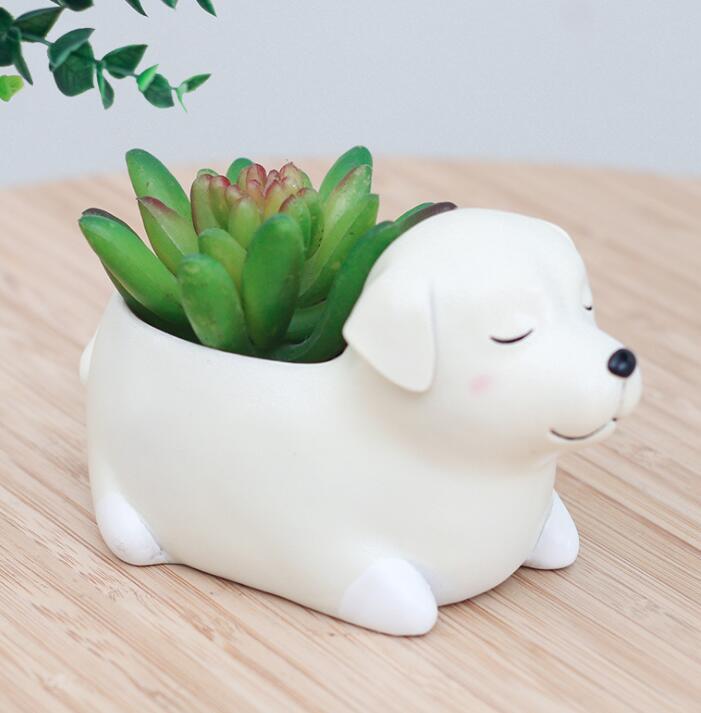 Pot de jardinière pour animaux