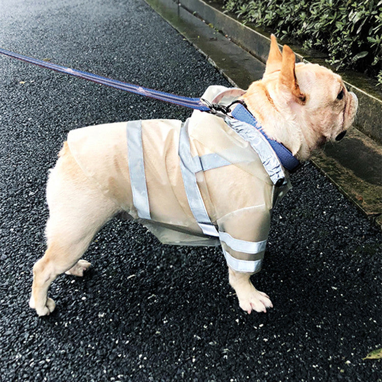 Imperméable imperméable réfléchissant transparent pour chien