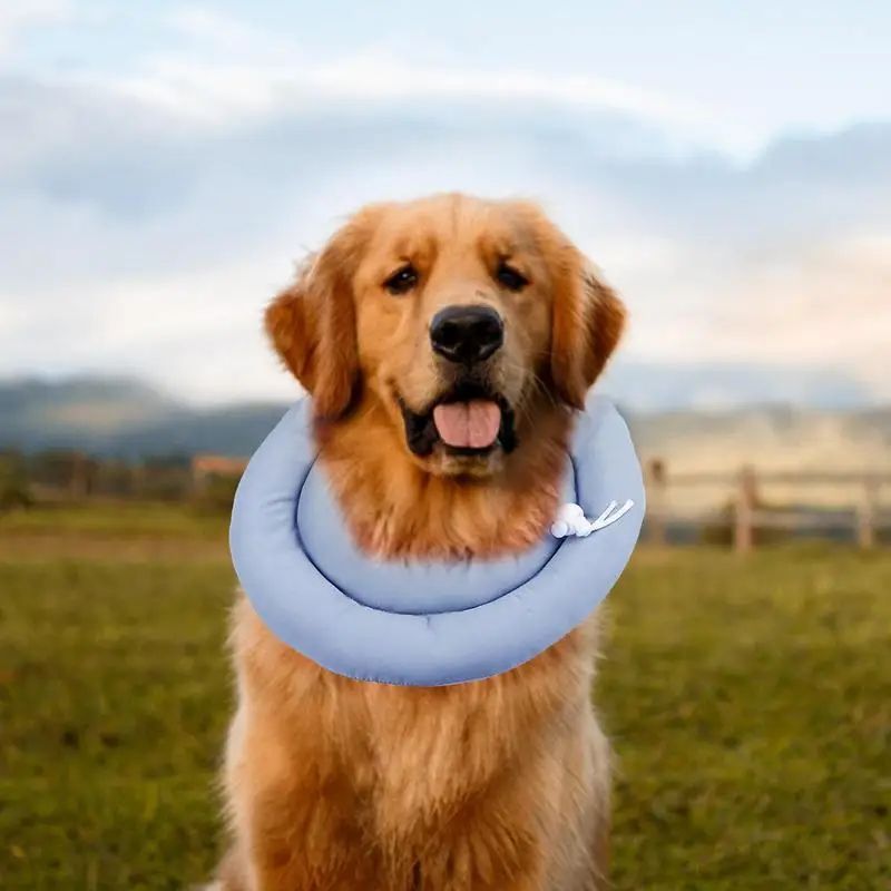 Elizabethan Collar Cute Cat Cone Collar Dog Elizabethan Collar Adjustable Wounds Recovery Collar Waterproof Dog & Cat Neck Cones