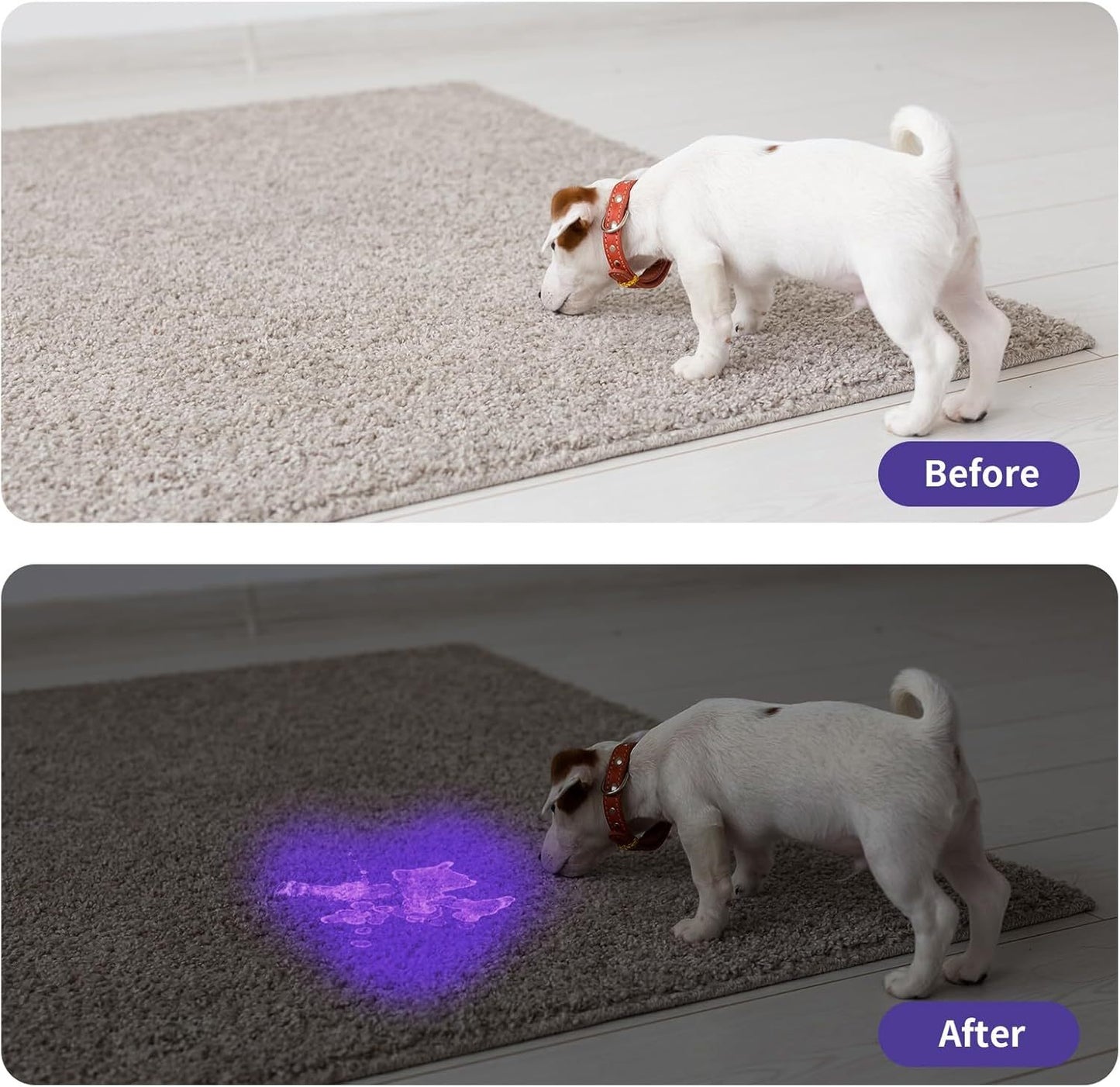 Lampe de poche UV LED Lampe de poche à lumière noire Mini lampe torche détecteur pour taches d'urine d'animaux de compagnie de chien Punaises de lit et scorpions Piles non incluses