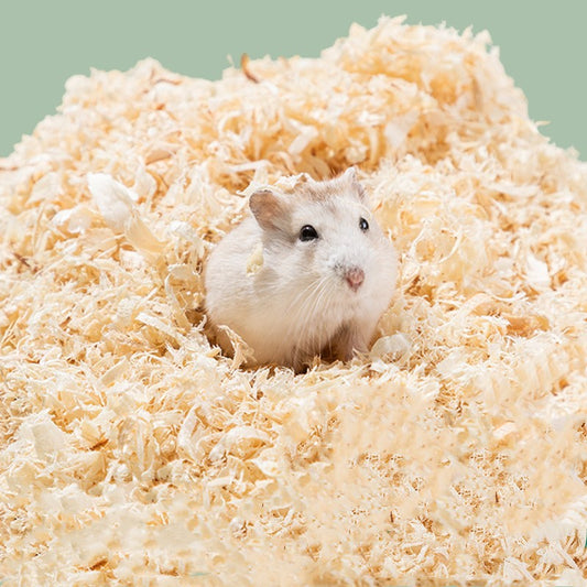 Bulk Poplar Wood Shavings Hamster Cushion Deodorant Absorbent Landscaping Supplies