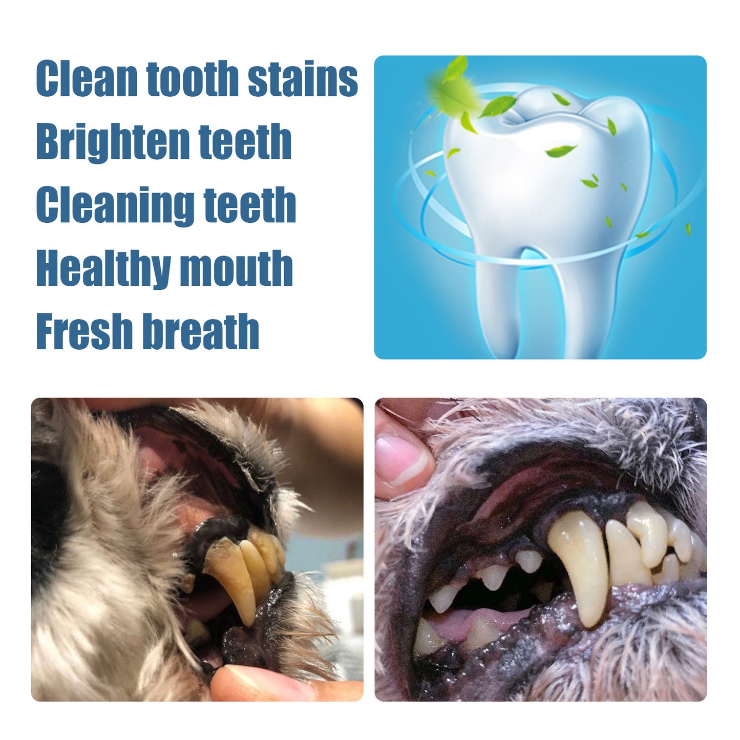 Teeth Brightening Pen For Pet Teeth Repairing Kit,Pet Dog Cat Teeth Cleaning Pen For Dental Care,Pet Teeth Whitening Pen Tool Dog Tooth Cleaning Pen - Resin Dental Plaque Tartar Remover