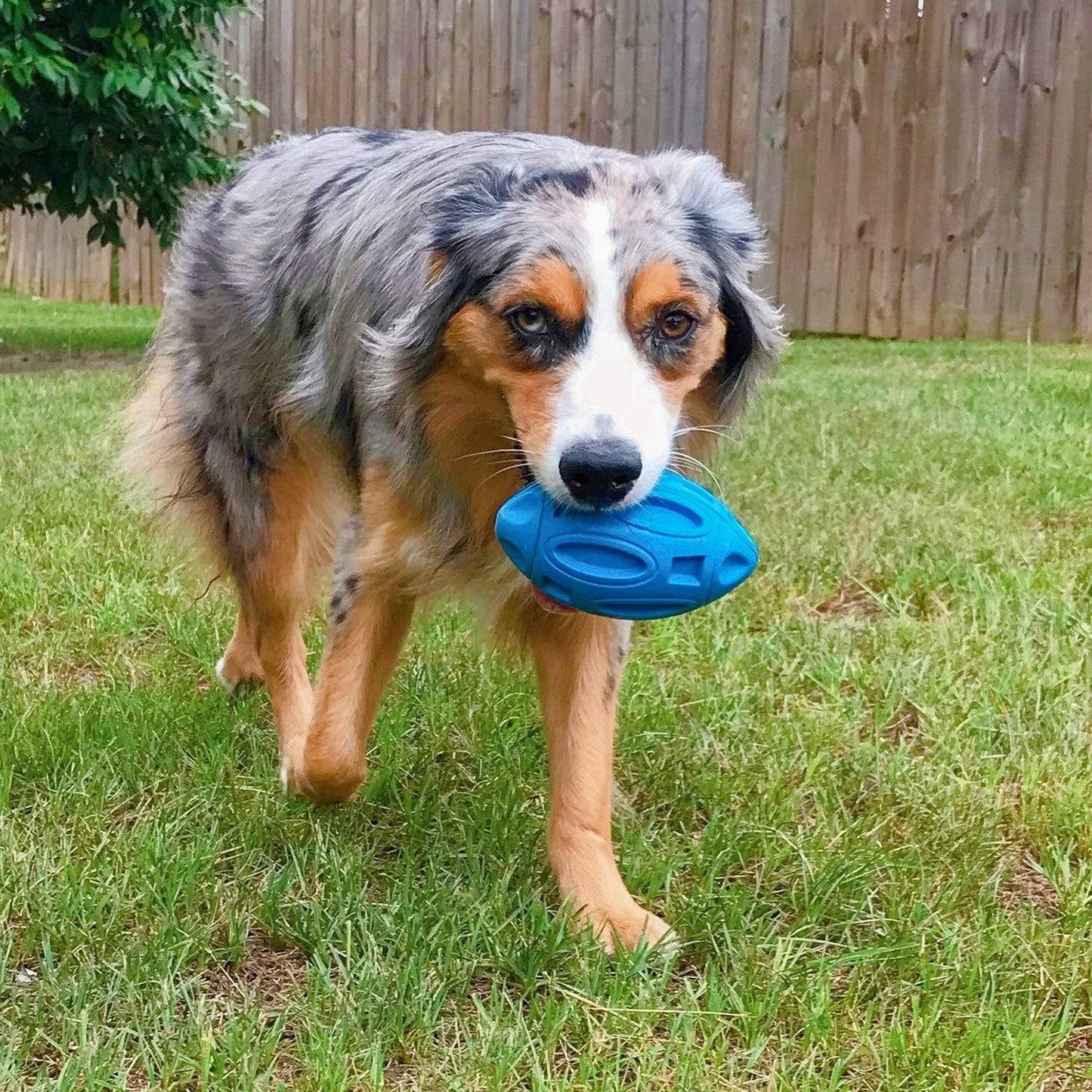 Juguetes para perros chirriantes para masticadores agresivos, pelota de goma para masticar con chirriador, juguete para mascotas casi indestructible y duradero para razas medianas y grandes