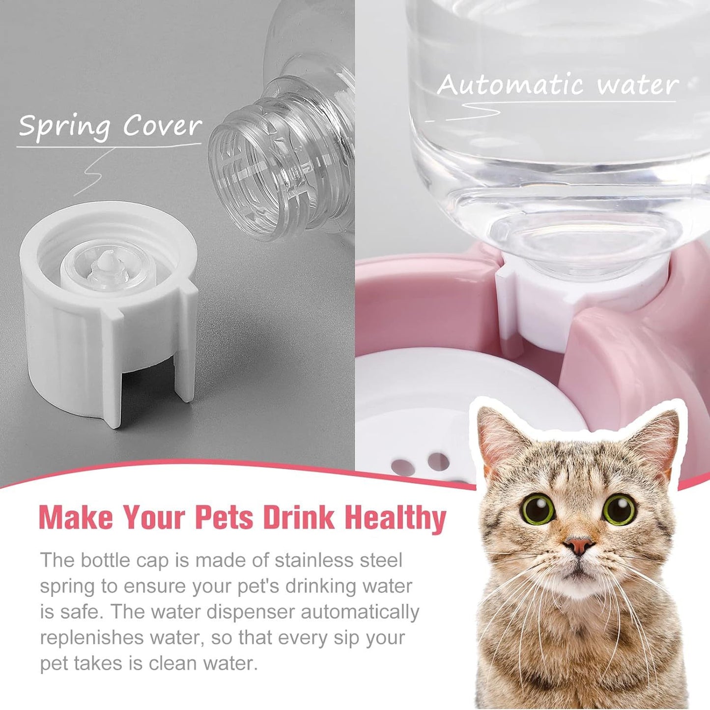 Ensemble de gamelles pour chien et chat avec distributeur d'eau et bol en acier inoxydable pour chats et petits chiens