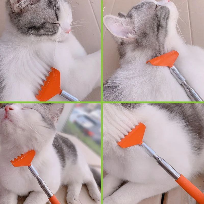 Juguete interactivo para rascar para gatos Cepillo de masaje Productos para mascotas Rascador para gatos