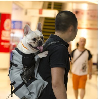 Sac à dos pour animaux de compagnie ventilé et respirant