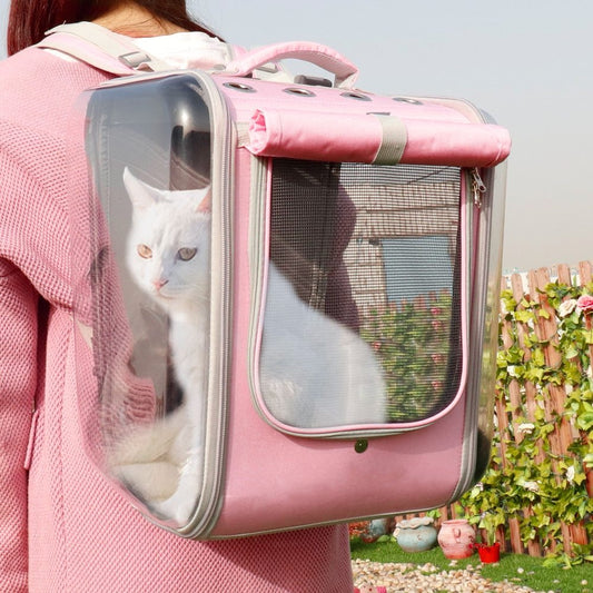 El gato del bolso del animal doméstico sale el bolso portátil del gato de la mochila