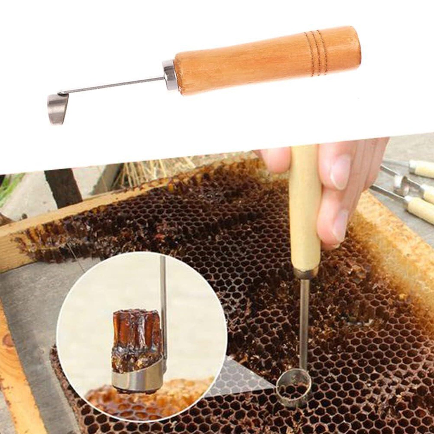 Cuchillo para cortar panal de abejas para eliminar insectos artificiales Herramientas de apicultura