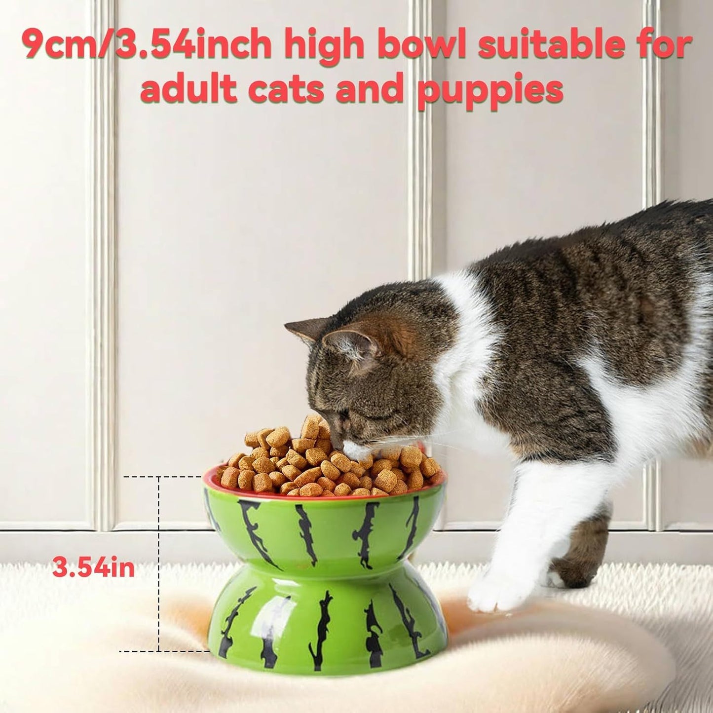 Gamelle surélevée en céramique pour chat de 5 pouces, gamelle large et surélevée pour nourriture et eau, gamelle inclinée anti-vomissement pour chats d'intérieur et petits chiens