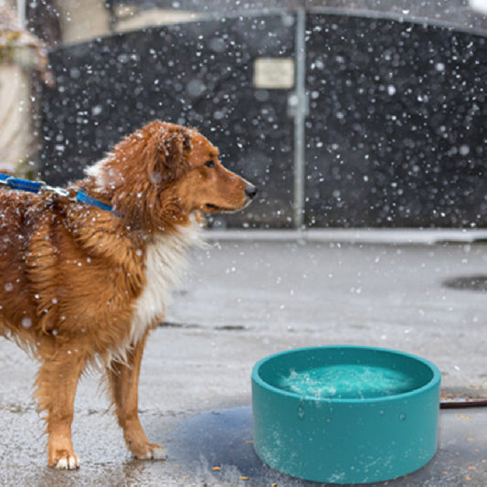 L bol chauffant pour animaux de compagnie vaisselle pour animaux de compagnie Anti-chute antidérapant Constant