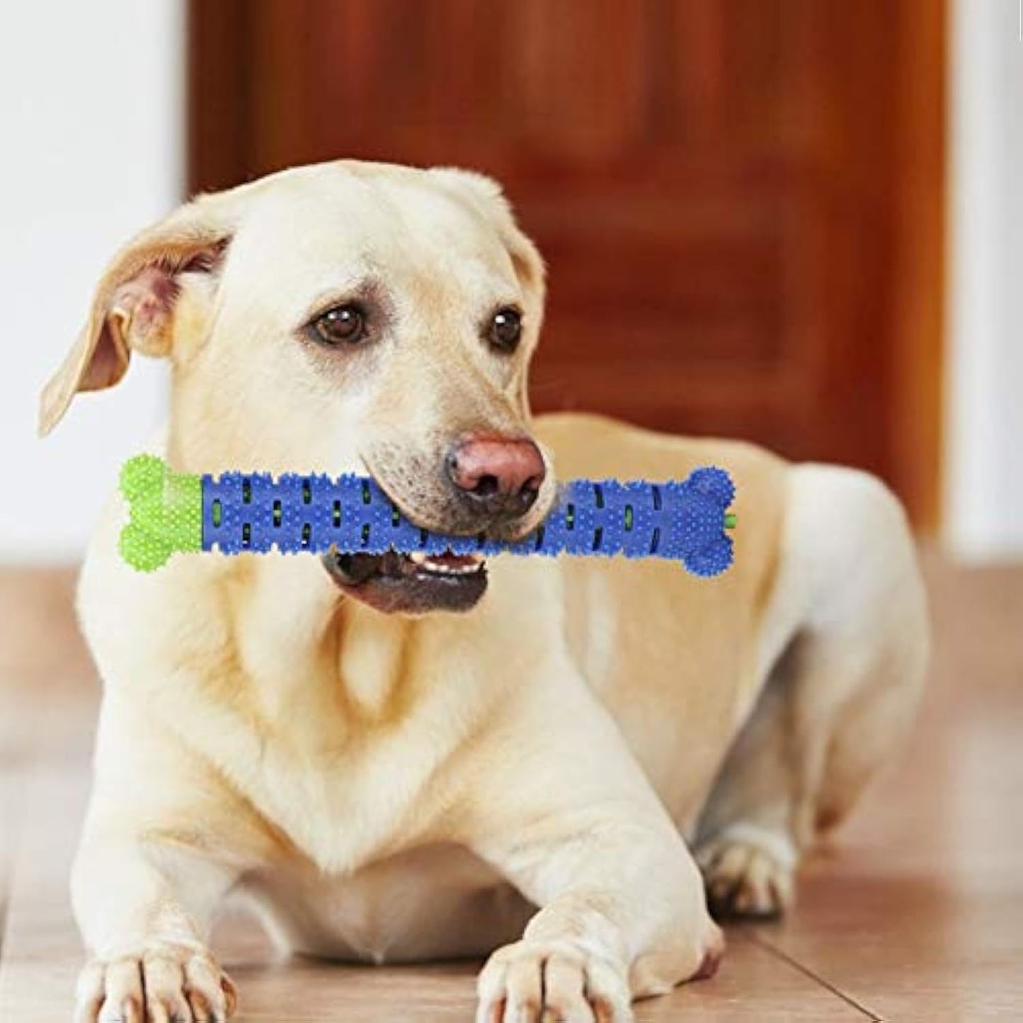 Limpiador de dientes molares para mascotas de color azul y verde, palo de cepillado, suministros de limpieza, cepillo de dientes, juguetes para perros, limpieza de perros