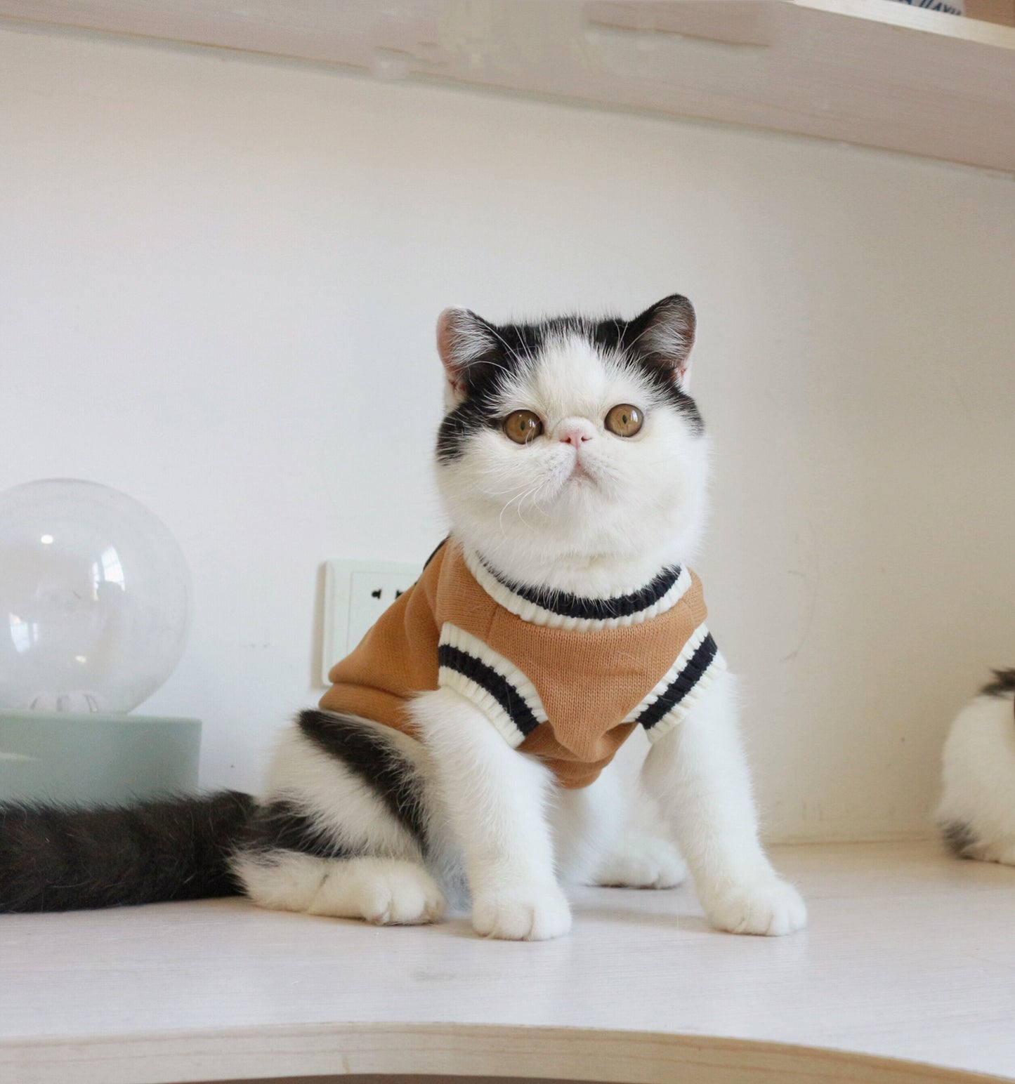 Gilet sans manches en tricot de chat polaire de style collège américain