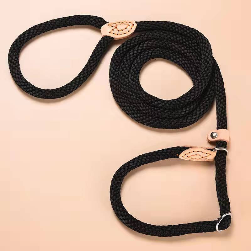 Traction Collar Integrated Training Dog Leash