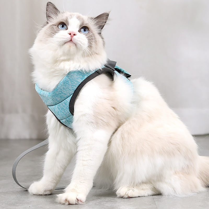 Gilet anti-chute en éponge, corde de traction pour chat