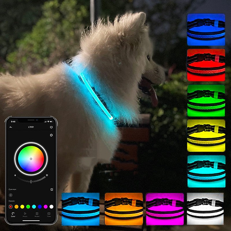 Collar de perro brillante con carga USB