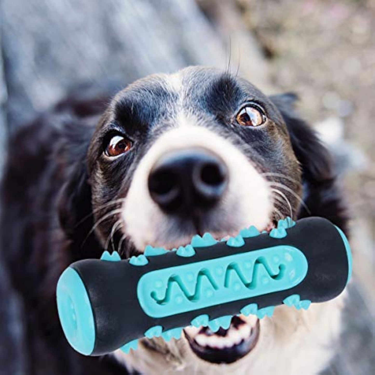 Cepillo de dientes para perros, juguete para masticar, palo para limpiar los dientes de los cachorros, mordedor dental de caucho natural, juguetes molares para perros y mascotas