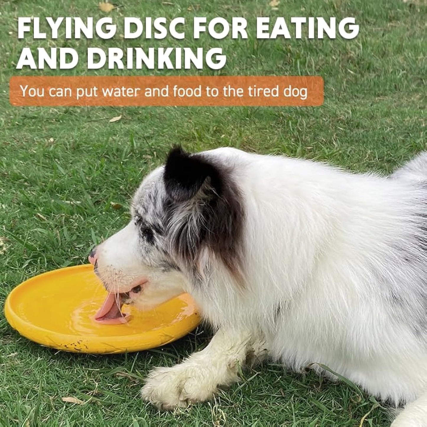 Dog Flying Disc Dog Flying Disc Durable And Interactive Flying Disc For Medium And Large Dogs  Perfect For Summer Parties And Outdoor Playtime