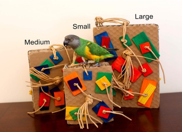 Parrot Colored Building Block Nibbling Toy