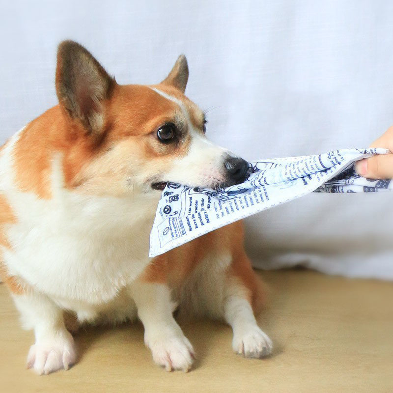 1 juguete interactivo para perros a prueba de desgarros con sonido simulado de chirrido, naipes de periódico, resistente a los dientes, osito de peluche Corgi 