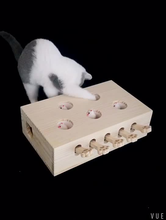 Jouet pour chat gopher jouant pour animaux de compagnie