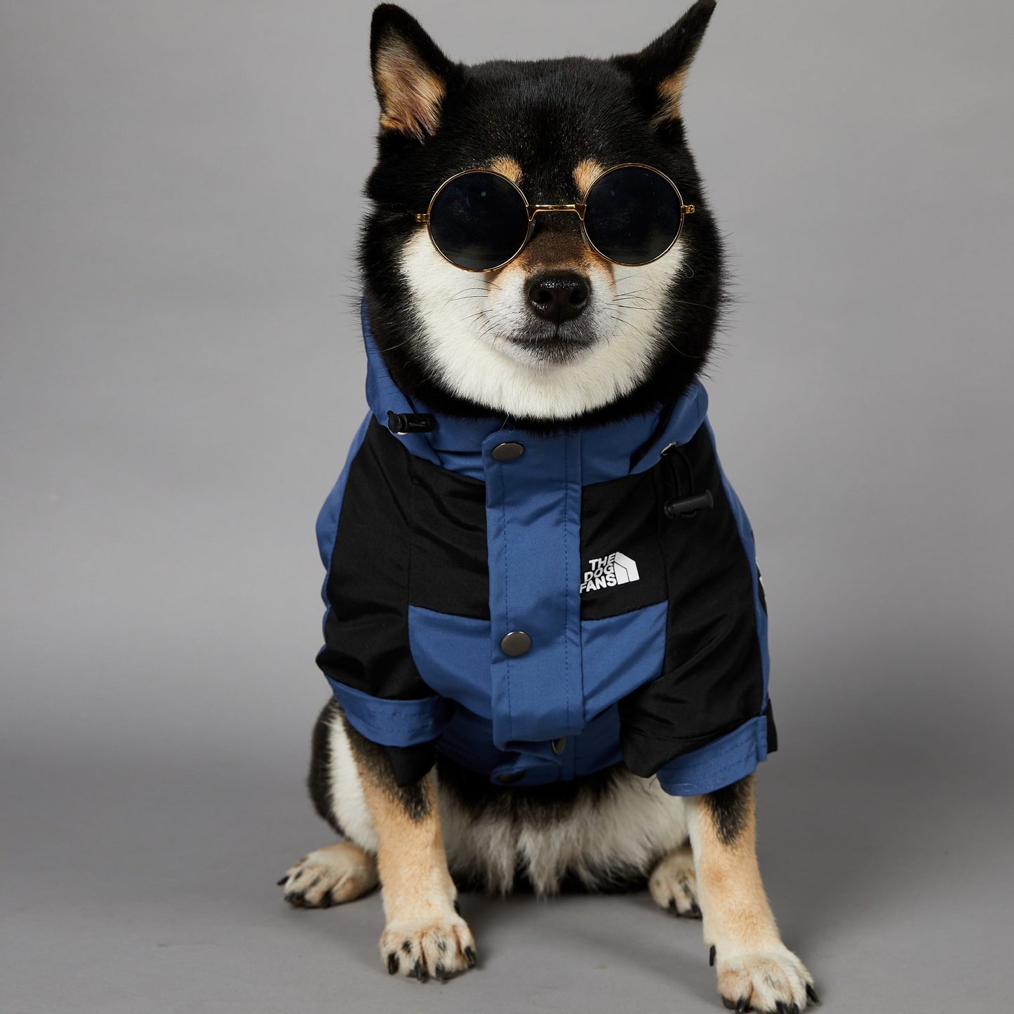 Chaqueta impermeable para perros grandes resistente al viento y a la lluvia