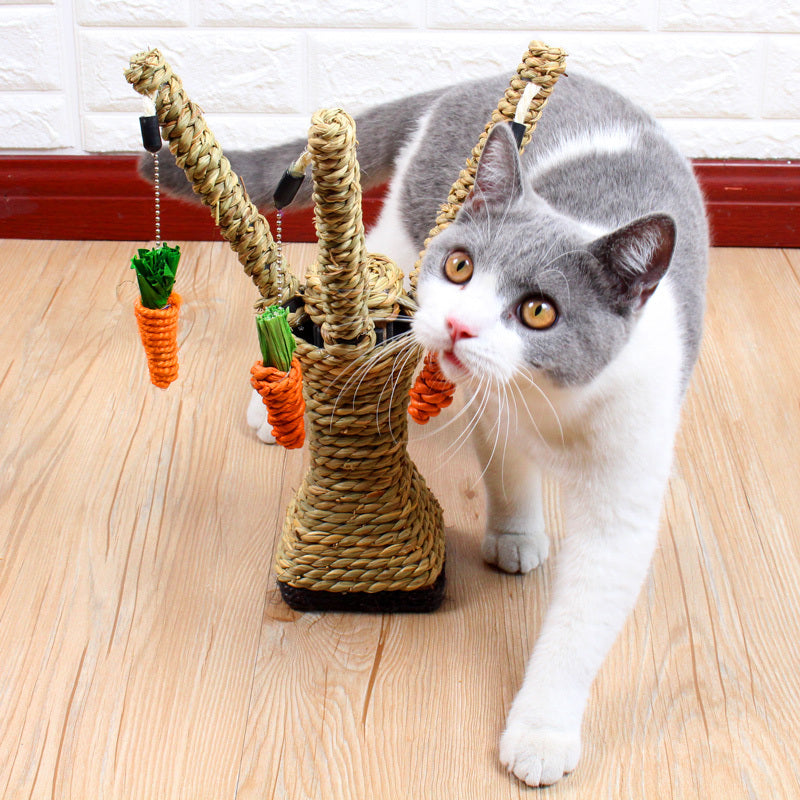 Kitten Claw Plate Molar Toy Vertical