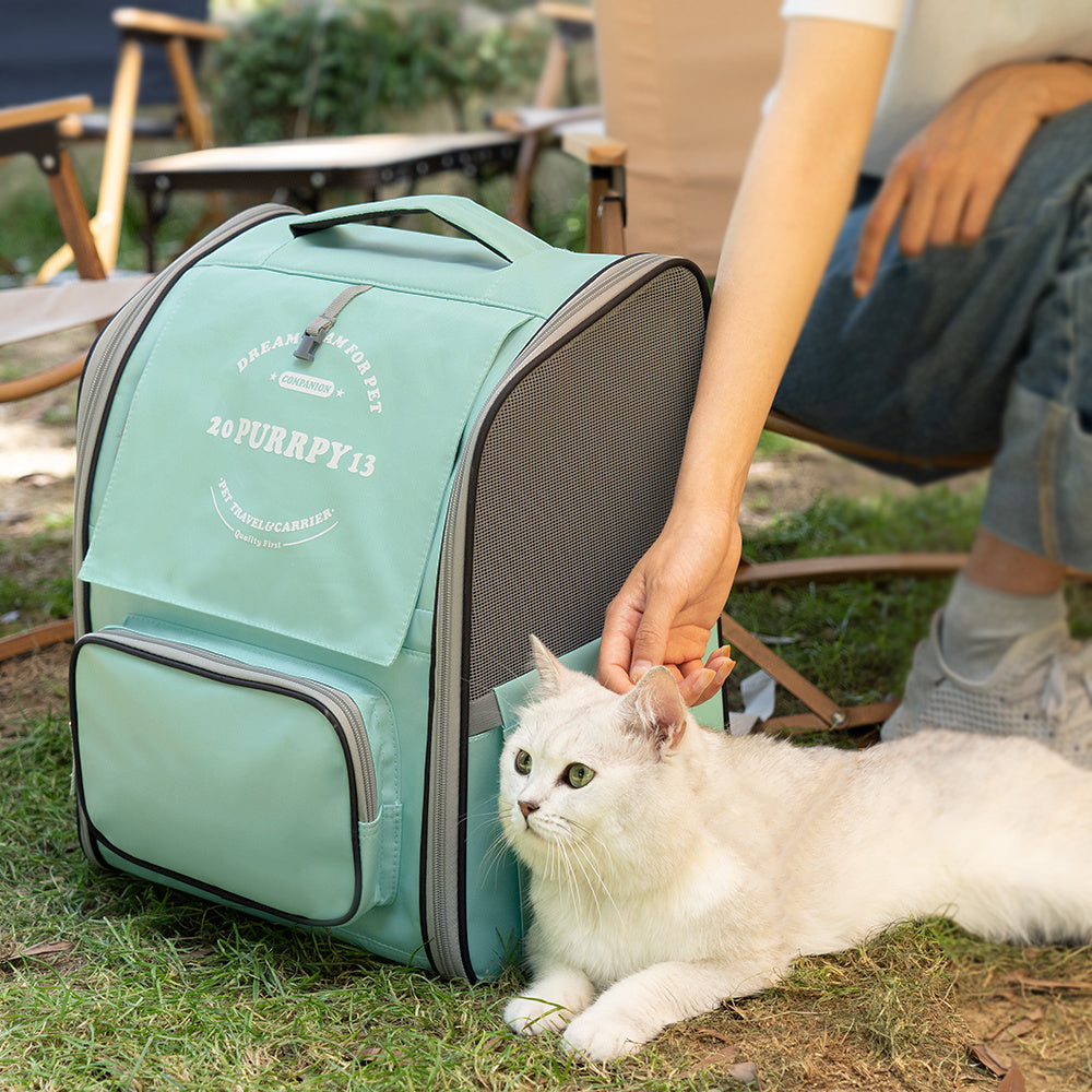 Bolsa de entrenamiento para mascotas, portátil, transpirable, multifuncional, espacio para salida, gato