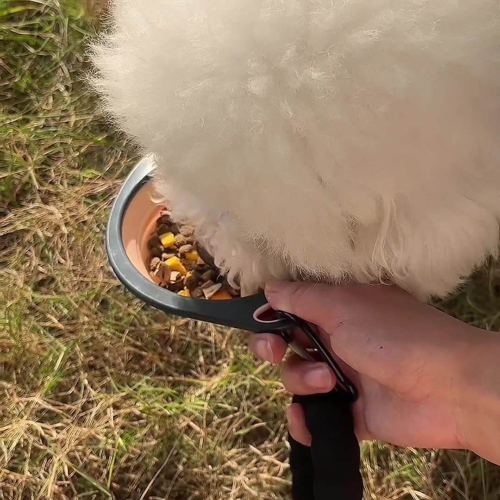 Cuencos plegables para perros para viajes, cuenco plegable de silicona para perros, plato de taza expandible plegable para alimentos para gatos pequeños, alimentación de agua, cuenco de viaje portátil, cuenco de agua portátil para perros y gatos