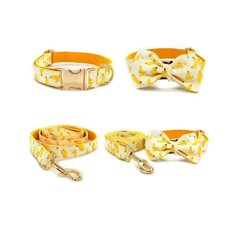 Tow Rope Collar Pet Supplies Gold Metal Buckle