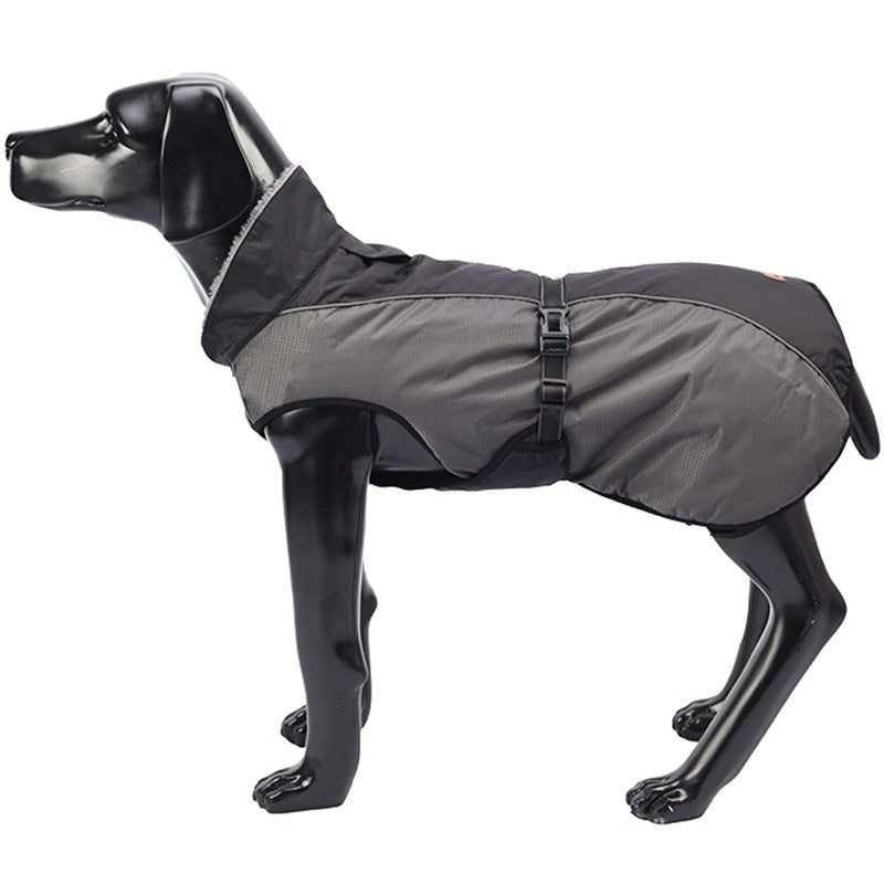 Manteau imperméable pour chien