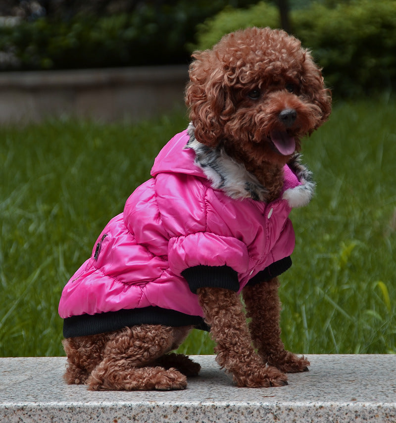 Ropa acolchada de algodón con cremallera para mascotas