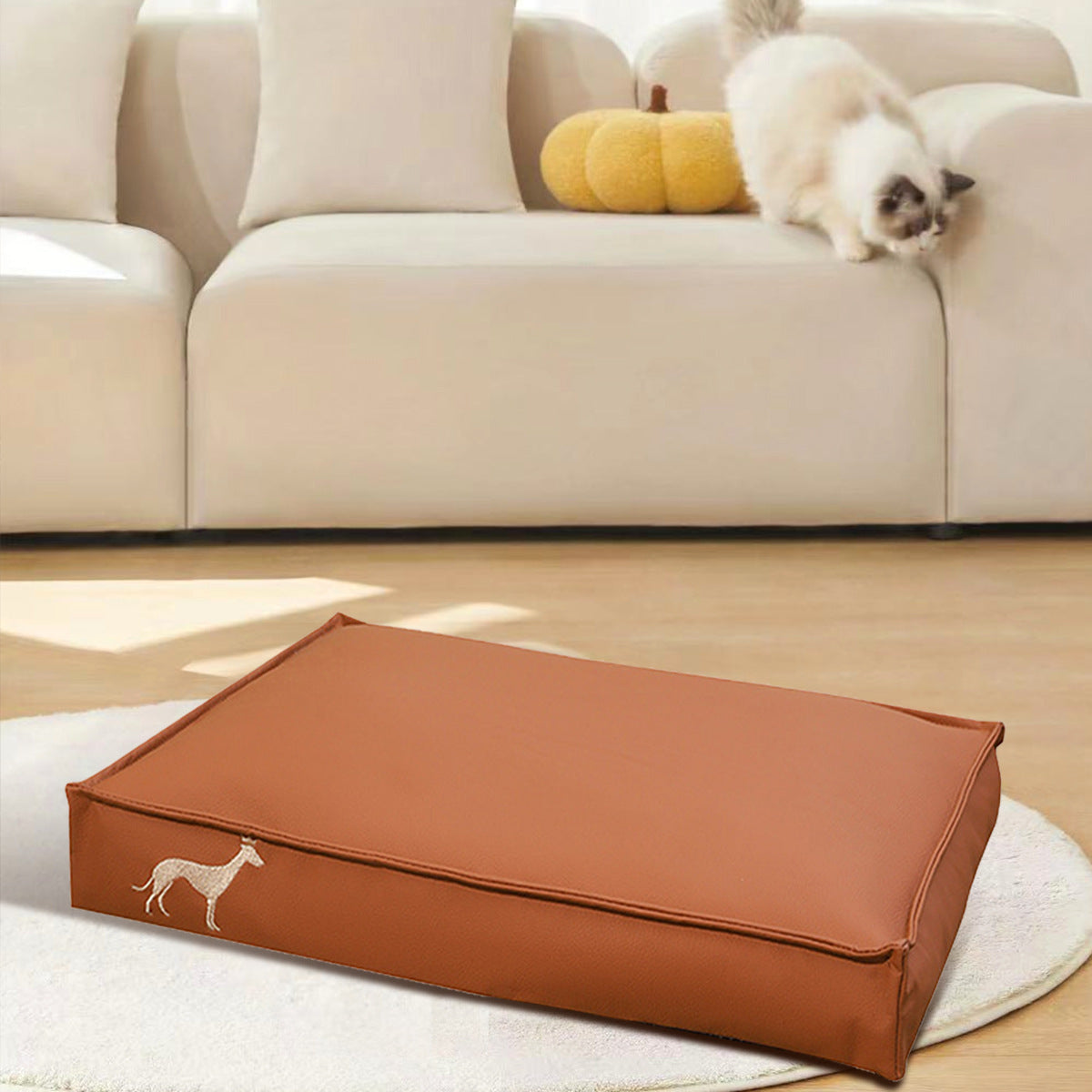 Tapis de litière pour chat imperméable, amovible et lavable, résistant aux rayures