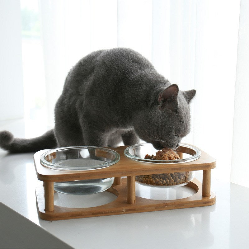 Cuenco de cristal para comida para gatos, cuenco para comida para gatos