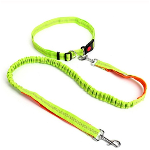 Traction rope dog leash