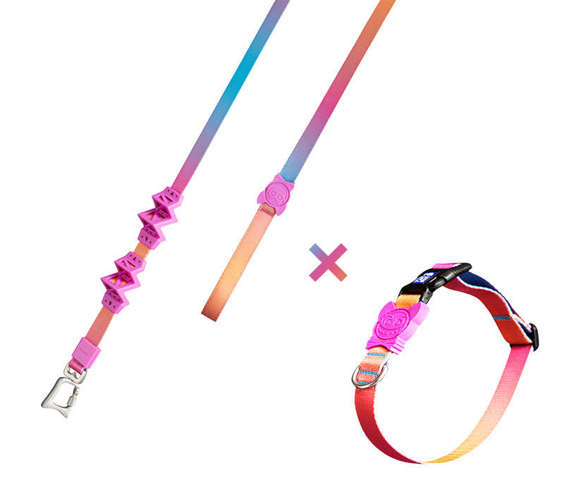 Buffer And Shock-absorbing Dog Pet Leash