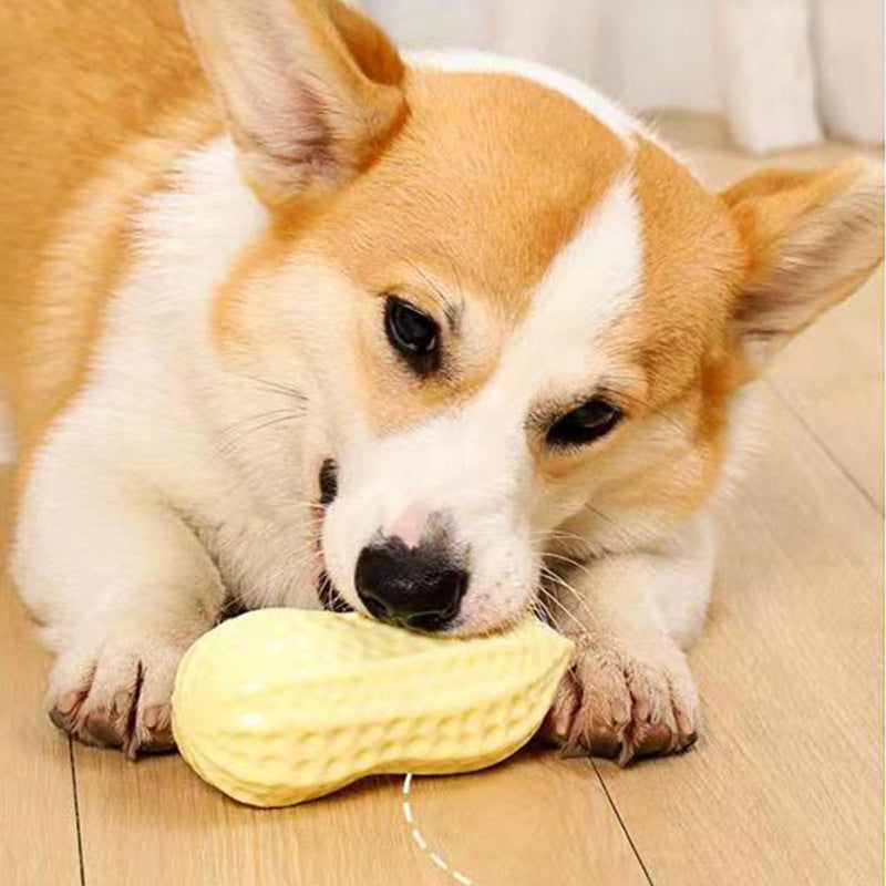 Dog Chewing Toy Simulation Peanut Squeaking Plaything Grinding Teeth Cleaning Anti Bite Rubber Cat Pet Toy Interactive Chew