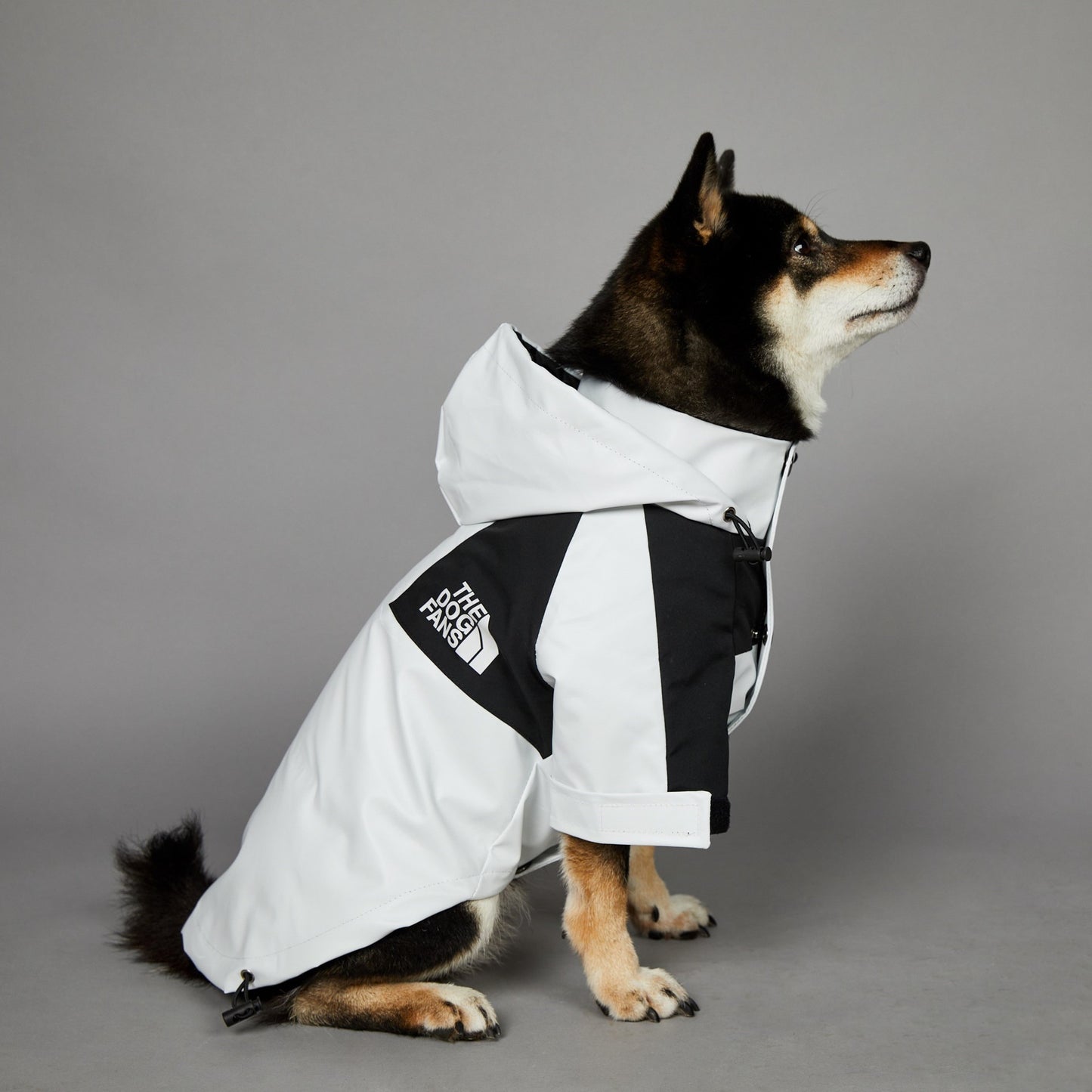 Veste imperméable coupe-vent et imperméable pour grands chiens