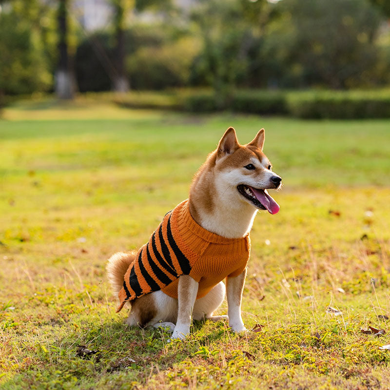 Suéteres para perros de Halloween, disfraz para mascotas, suéter cálido de ocio, ropa de Cosplay para perros, trajes para mascotas