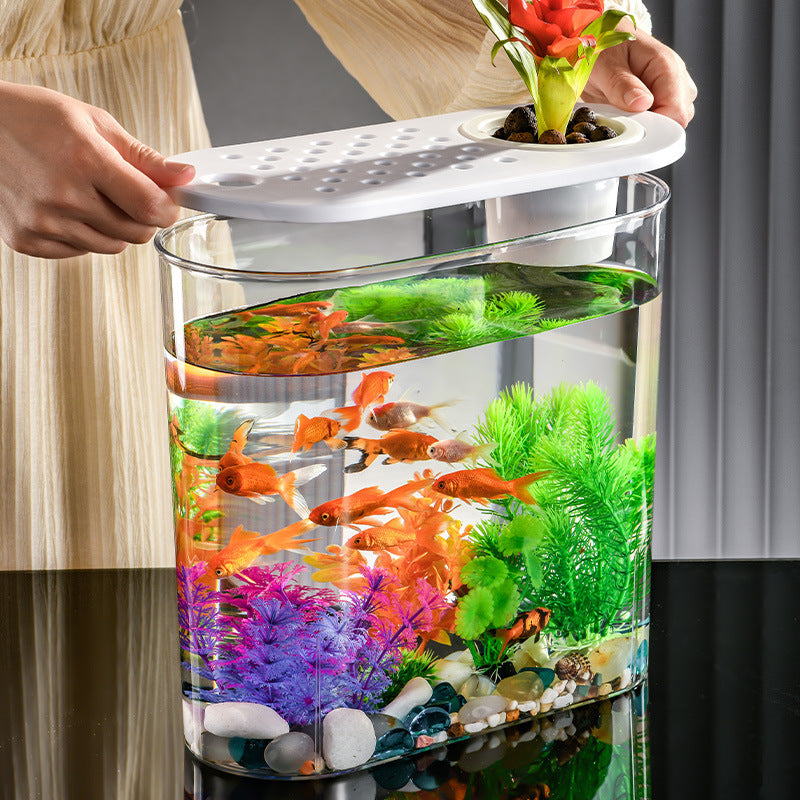 Incubateur écologique transparent en acrylique pour poissons rouges