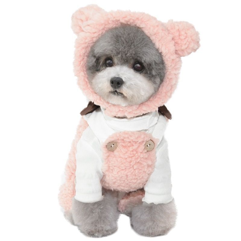 Pet Hat Bear Plush Hood Photo Headwear Dress Up Accessories