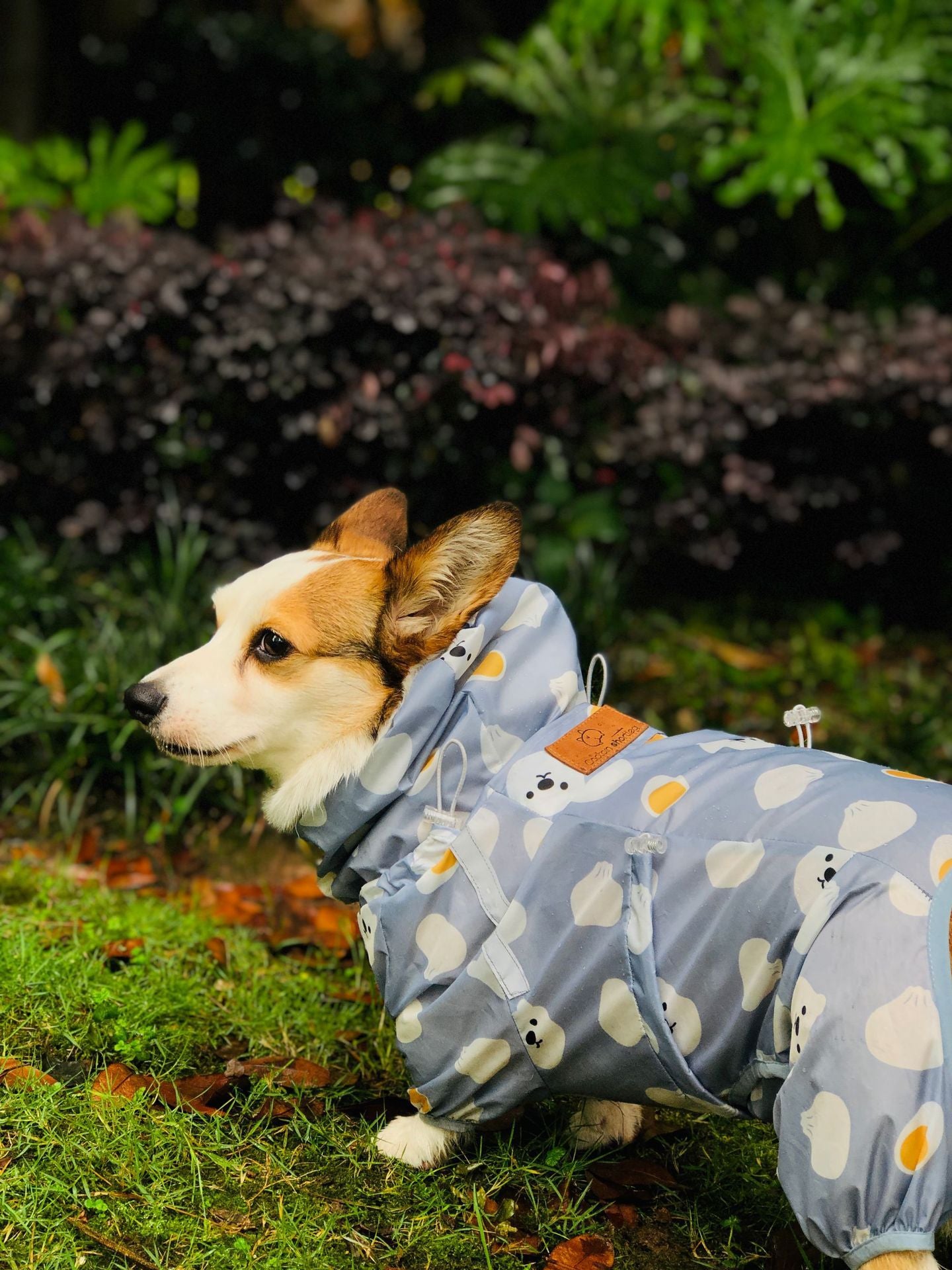 Chubasquero impermeable de pierna corta Captain Golden Retriever Corgi, ropa para perros de cuatro patas