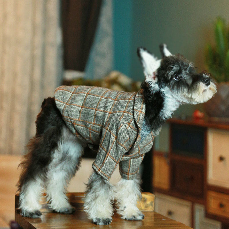 Vêtements pour animaux de compagnie photo de mariage