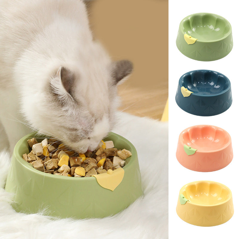 Gamelle en plastique pour animaux de compagnie, bol double d'intérieur pour chien, chat, nourriture, eau, chats, petits chiens, bols de grande capacité